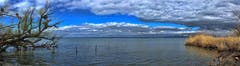 Das Schwäbische Meer. (Bild: Toni Sieber)