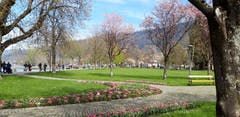 Die Strandpromenade bei Bregenz. (Bild: Klaus Businger)
