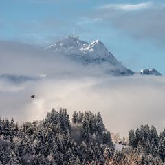 Fischreiher mit Säntis (Bild: Hans-Jörg Nüesch)