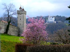 Blick vom Bramberg (Bild: Walter Buholzer, Luzern, 3. April 2019)