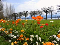 Frühling am Carl-Spitteler-Quai. (Bild: Walter Buholzer, Luzern, 9. April 2019)