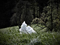 Fantasie kennt keine Grenzen; Gibt es tatsächlich Osterhasen aus Schnee? (Bild: Margrith Imhof-Röthlin, Gebiet Sonnmatt/Luzern, 8. April 2019)