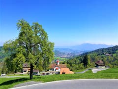 Frühlingswetter über der Wallfahrtskirche Hergiswald mit Blick auf die Rigi. (Bild: Urs Gutfleisch, Hergiswald, 1. Mai 2019)