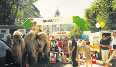 Die Zielkonstruktion in den 90er-Jahren eröffnete dem Speaker-Team eine freie Sicht auf die Zielgerade an der Kapellgasse, sorgte aber gleichzeitig für einen windigen Arbeitsplatz. Jahrelang zeichnete Rivella für die Zeitmessung verantwortlich. Die verschiedenen Kanäle im Zieleinlauf waren für die Zuteilung der Ränge entscheidend. (Bild: PD/Verein Luzerner Stadtlauf)