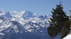 «Wundertag heute auf dem Stanserhorn, mit Berneralpen» (Bild: Hans Steiner, Stanserhorn, 1. Mai 2019)