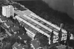 (Bild: Fotograf unbekannt*/ LZ Archiv, 1964)