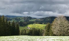 Winterliche Stimmung im Frühling auf der Hohen Buche. (Bild: Renate Wachsmuth)