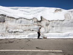 Kleiner Hund vor grosser Schneewand zur Eröffnung der Oberalppass-Verbindung. (Bild: Alexandra Wey / Keystone, 1. Mai 2019)