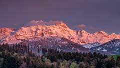 Der Säntis in Rosarot. (Bild: Luciano Pau)