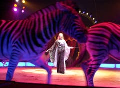 Die Italienerin Soara Bobba zeigt ihre Zebra-Nummer 2003. (Bild: KEYSTONE/Caliope Foschini)