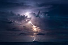 Das Lieblingsbild des «Stormchasers» (Gewitterjäger): Ein Gewitter bei Darwin in Australien.