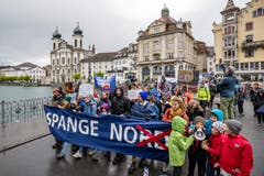Der Protestmarsch führe durch die Luzerner Altstadt.