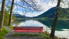 Idyllischer Ausblick am Ägerisee. (Bild: Peter Bumbacher, Ägeri, 10. Mai 2019)