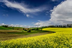 Sonne Regen und Wind, heute war spannendes Wetter. (Bild: Vinzenz Blum, Schötz, 11. Mai 2019)