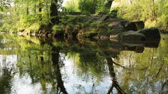 Der Frühling spiegelt sich im Wasser. (Bild: Irene Wanner, Schötz, 12. Mai 2019)