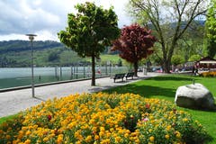 Es blüht im Park Seefeld in Sarnen. (Bild: Bruno Ringgenberg, Sarnen, 12. Mai 2019)
