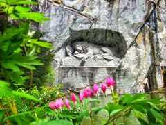Beim Löwendenkmal blühen die Blumen. (Bild: Leila Aebli, Luzern, 9. Mai 2019)