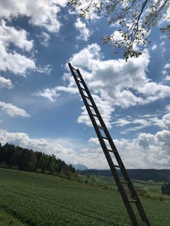 Leiter ins Jenseits, entdeckt am Wanderweg Buholz-Geiss. (Bild: Fredi Meyer, 12. Mai 2019)
