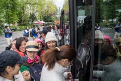 Einsteigen und ab zum Gala-Dinner: Die chinesischen Touristen steigen in die VBL-Busse ein, die sie zur Messe bringen. (Bild: Nadia Schärli, Luzern, 13. Mai 2019)