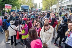 Cars treffen beim Inseli ein. (Bild: Urs Flüeler / Keystone, Luzern, 13. Mai 2019)