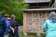 Beim Wildbienenhotel, das Schüler aus Frümsen und Salez erstellten, konnte man Insekten beobachten.