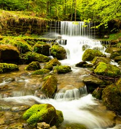 Und ruhig fliesst das Wasser im Alplibach. (Bild: Bernadette Hotz)