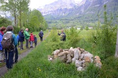 Rund 60 Personen nahmen an der Exkursion vom Verein Pro Riet Rheintal nach Frümsen teil.