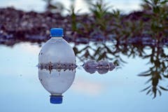 Abfall in der Natur mit einer gewissen Ästhetik. (Bild: Daniel Kirner)