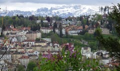 Sicht über die Stadt St. Gallen zum Alpstein - von Flieder-Frühling zum Winter. (Bild: Doris Sieber)