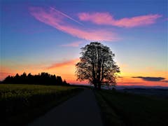 Traumhaftes Abendrot. (Bild: Urs Gutfleisch, Ruswil, 14. Mai 2019)