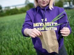 Lauryn McLoughlin von der University of Manchester nimmt Bodenproben eines Detektors zur Messung der Lachgasmenge. (Bild: KEYSTONE/ENNIO LEANZA)
