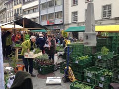 Auf der Suche nach ganz bestimmten Setzlingen.