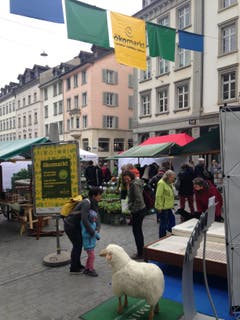 Marktkulisse mit Schaf.