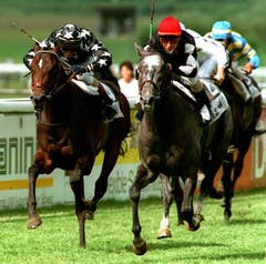 Teilnehmer des 17. Bankverein Swiss Derby in Frauenfeld kämpfen auf der Rennbahn um den Sieg. (Bild: Keystone/Patrick Kraemer (15. Juni 1997))