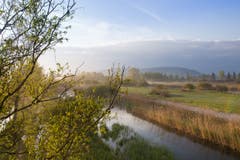 Morgenstimmung im Naturschutzgebiet Wauwilermoos. (Bild: Priska Ziswiler-Heller, 16. Mai 2019)