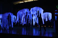 Impressionen von der Hauptprobe des Schul-Musicals "Das Geheimnis der sieben Perlen". (Bild: Marion Wannemacher (Kerns, 17. Mai 2019))