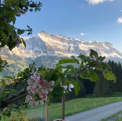 Bergfrühling. (Bild: Veronika Iseli, Marbach, 14. Mai 2019)