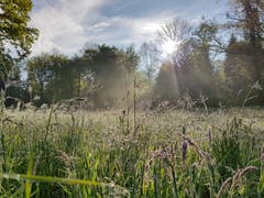Morgenstimmung auf dem Arbeitsweg. (Bild: Irene Baumeler, Emmen, 13. Mai 2019)