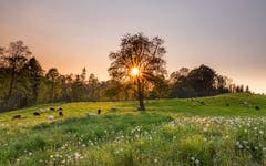 Sonnenuntergang bei Mutwil SG. (Bild: Luciano Pau)