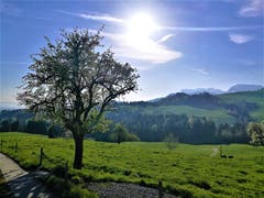 Strahlender Sonnenschein heute Morgen auf der Rengg/LU im Entlebuch bevor die Kaltfront kommt. (Bild: Urs Gutfleisch, Rengg, 2. Mai 2019)