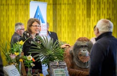 Amriswil TG - Thurgauer Tischmesse im Pentorama Amriswil - Eröffnung.
