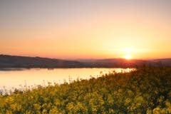Romantischer Sonnenuntergang über dem Rapsfeld von Eich. (Bild: Xaver Husmann, Eich, 1. Mai 2019)