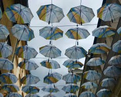 Regenwetter! (Bild: Peter Bumbacher, 21. Mai 2019)
