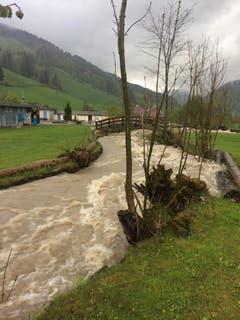 Viel Wasser in der Thur bei Unterwasser. (Bild: Sabine Camedda)