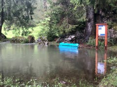 Im Obertoggenburg, auf dem Weg zu den Thurwasserfällen. (Bild: Christiana Sutter)