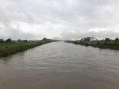Auch der Rhein, aufgenommen bei Diepoldsau, führt viel Wasser mit sich. (Bild. Fm1Today, Marc Hanimann)