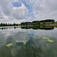 Stimmungsvolle Spiegelung im Hasensee. (Bild: Stephan Lendi)
