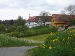 Es grünt so grün - Scheitlinsbüchel mit Sicht auf das Kloster Notkersegg. (Bild: Doris Sieber)
