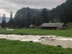 In der Thur treibt auch Schwemmholz. (Bild: Christiana Sutter)