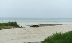 Der Bodensee füllt sich. Hier die Steinachmündung. (Bild: Walter Schmidt)